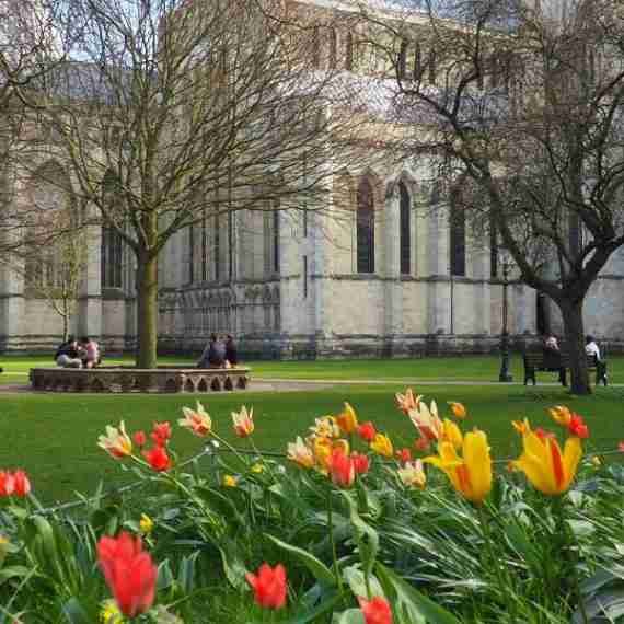 Deans Park York